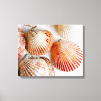 Beach Seashells Art Canvas Print Leinwanddruck