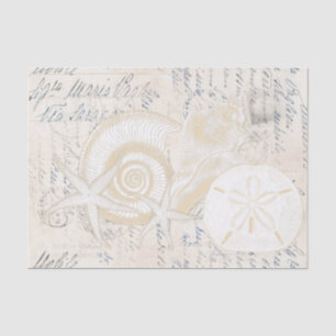 Beach Seashells Cream Italian Writing Tissue Paper Seidenpapier