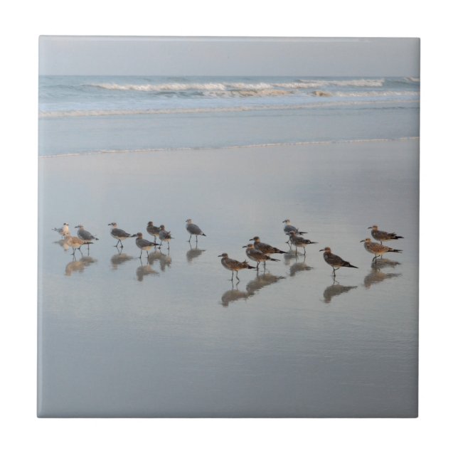 Beach Shore Birds Nature Foto Landschaftliche Küst Fliese (Vorderseite)