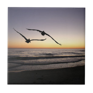 Beach Shorebirds Keramik Tile Trivet Fliese