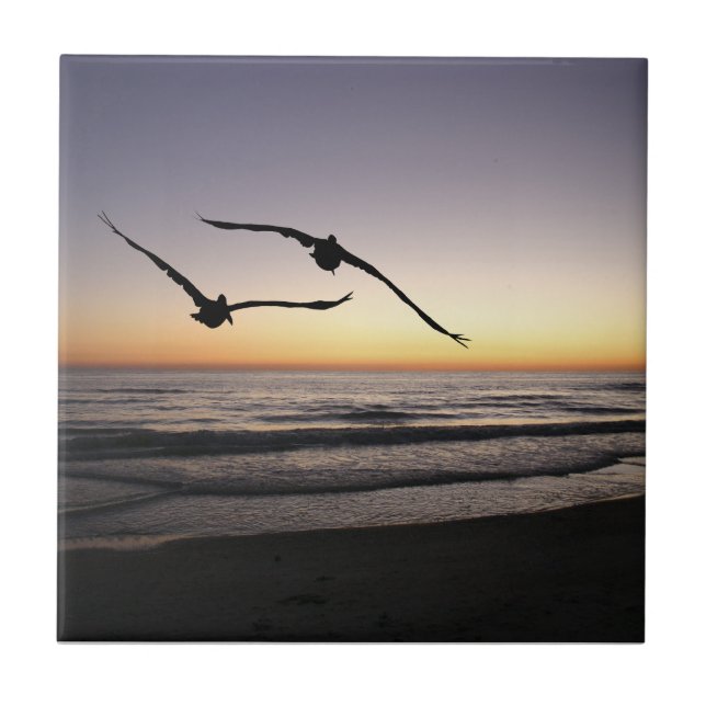 Beach Shorebirds Keramik Tile Trivet Fliese (Vorderseite)