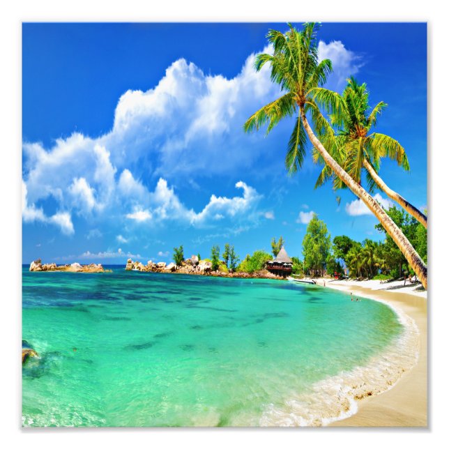 Beach Sunset Fotodruck (Vorne)