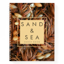 Beach Theme Guest House