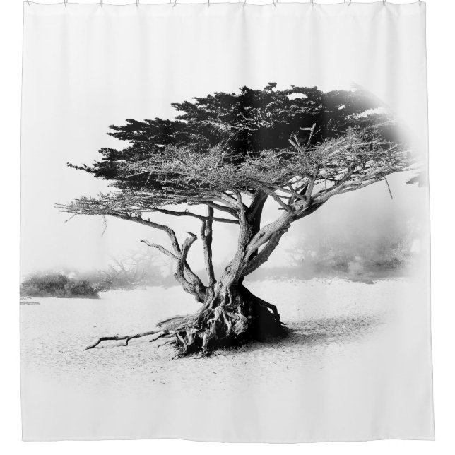 BEACH TREE Duschvorhang (Vorderseite)