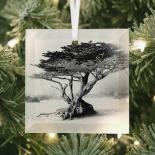 BEACH TREE Glasdekoration Ornament Aus Glas