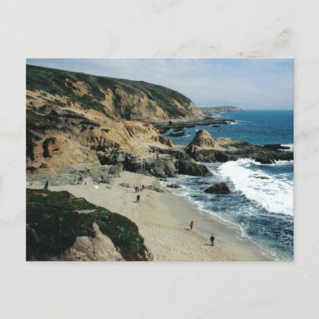 Beach View in Bodega Bay, CA Postcard Postkarte (Vorderseite)