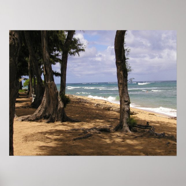 Beach, Wailua, Kauai Poster (Vorne)