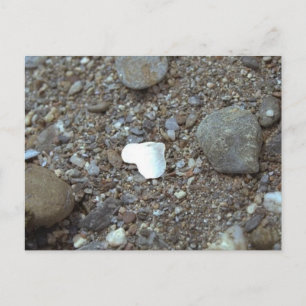 Beach Wedding Seashell Heart Postkarte