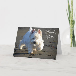 Beach Westie Foto Danke, Card Dankeskarte