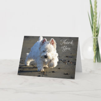 Beach Westie Foto Danke, Card Dankeskarte