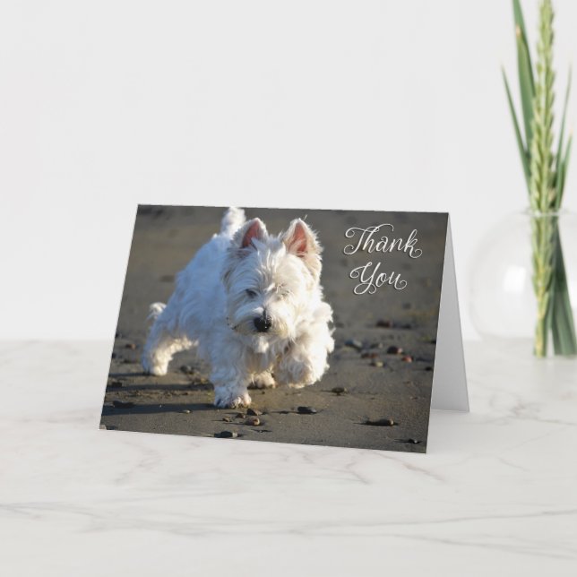 Beach Westie Foto Danke, Card Dankeskarte (Vorderseite)