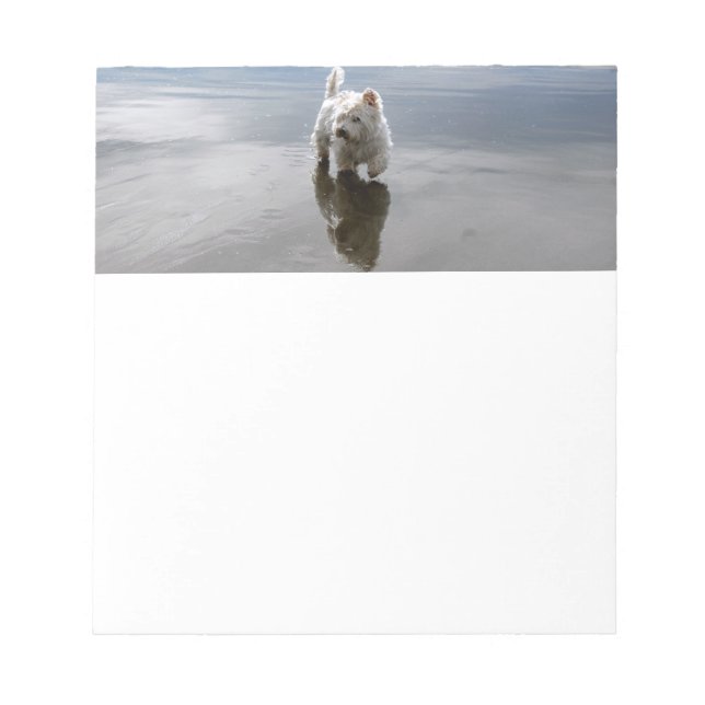 Beach Westie Reflection Foto Stationery Notepad Notizblock (Vorderseite)