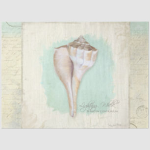 Beach Whelk Muschel Aqua Blue Aqua Seidenpapier