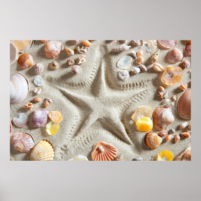 Beach White Sand Seashells Poster (Vorne)