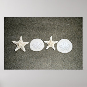 Beach X's and O's Foto Poster
