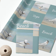 Beach Yoga Seabirds Terns Fun Fotografisch