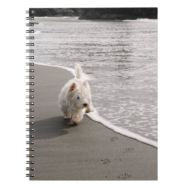 Beachcombing Westie Photo Carnet Spiral (Devant)
