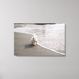 Beachcoming Westie Canvas Print Leinwanddruck