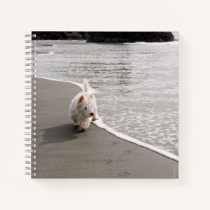 Beachcoming Westie Foto 8x8 Square Journal Notizbuch