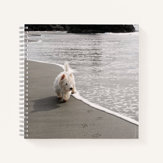 Beachcoming Westie Foto 8x8 Square Journal Notizbuch (Vorderseite)