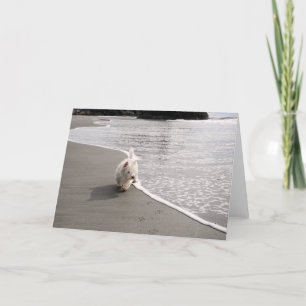 Beachcoming Westie Foto Grußkarte Dankeskarte