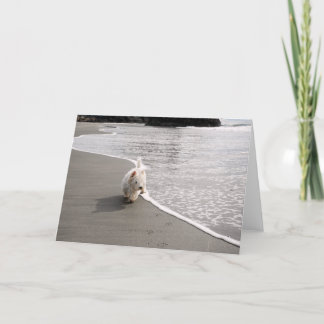 Beachcoming Westie Foto Grußkarte Dankeskarte