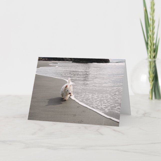 Beachcoming Westie Foto Grußkarte Dankeskarte (Vorderseite)