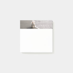 Beachcoming White Westie Dog Foto Stationery Post-it Klebezettel