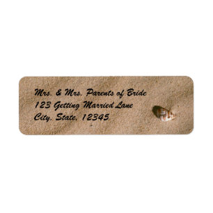 Beachsernistenlabel