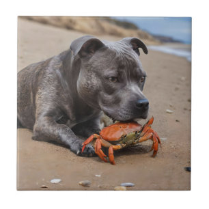 "Beachside Pals: Ein Staffy und sein Krabbenbeglei Fliese