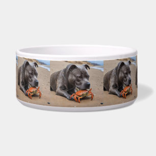 "Beachside Pals: Ein Staffy und sein Krabbenbeglei Napf