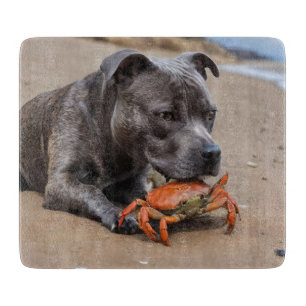 "Beachside Pals: Ein Staffy und sein Krabbenbeglei Schneidebrett