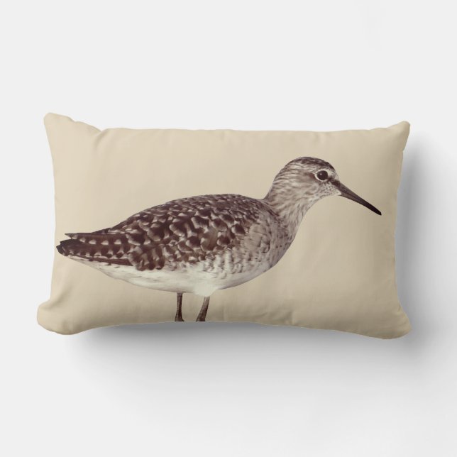 Beachy Küstenflussuferläufer-Vogel-u. Sandy-Beige Lendenkissen (Vorderseite)