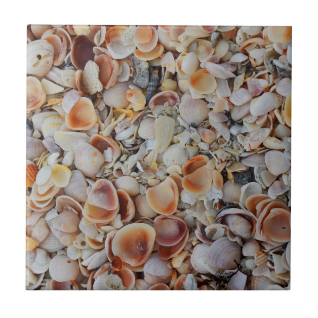 Beachy Seashells Fliese (Vorderseite)