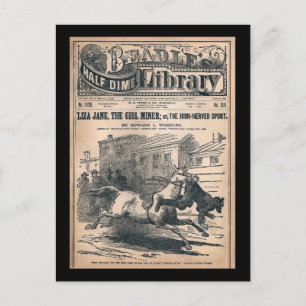 Beadles Half Dime Library Nr. 1120 1901 Postkarte