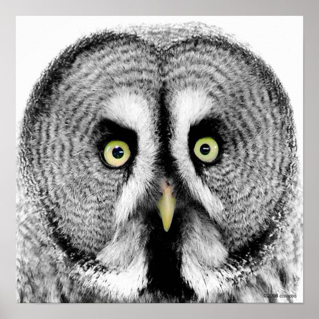 'Beady Eyes' Owl Poster (Vorne)
