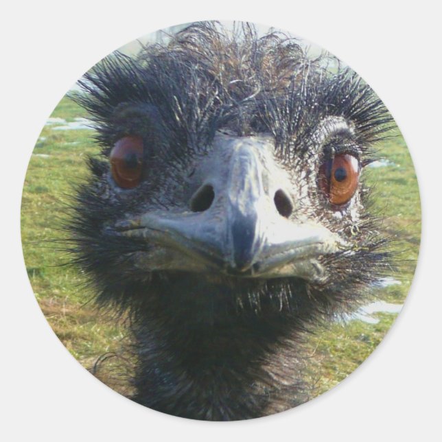 Beady Eyes WWU Runder Aufkleber (Vorderseite)