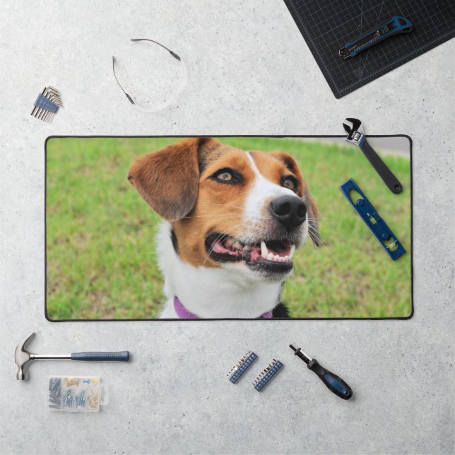 Beagle (Poste de travail)