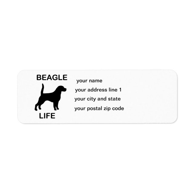 Beagle (Vorne)