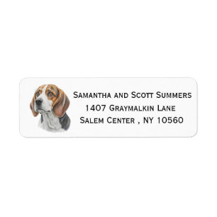 Beagle