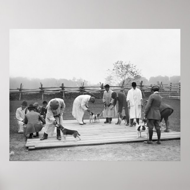 Beagle 1914 poster (Vorne)