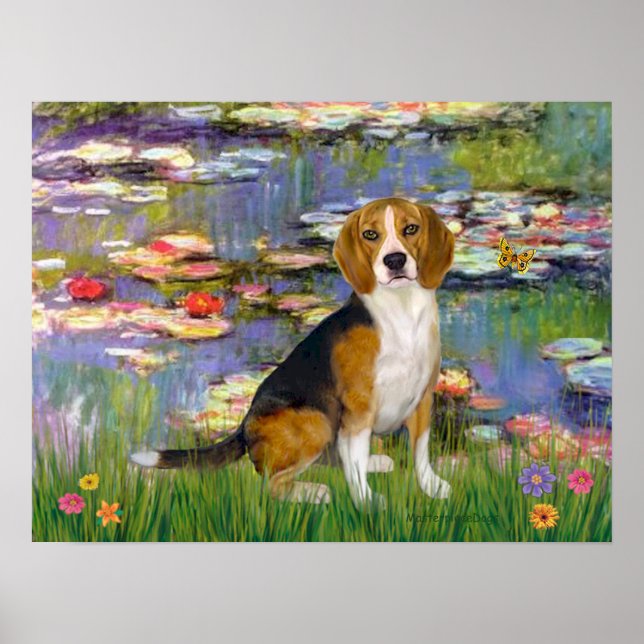 Beagle 7 - Lilien 2 Poster (Vorne)