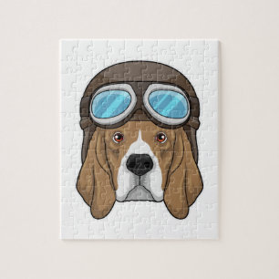 Beagle als Pilot mit Pilotin