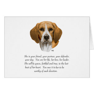 Beagle Andenken