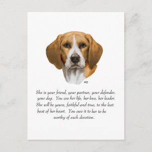 Beagle Andenken Postkarte