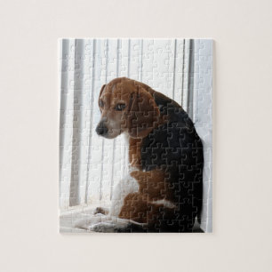 Beagle attutide