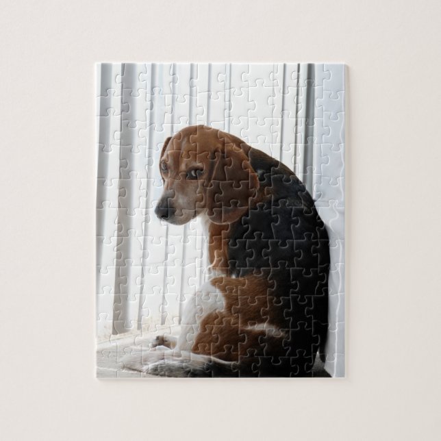 Beagle attutide (Vertikal)