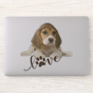 Beagle Aufkleber