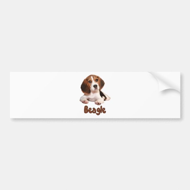 Beagle! Autoaufkleber (Vorne)