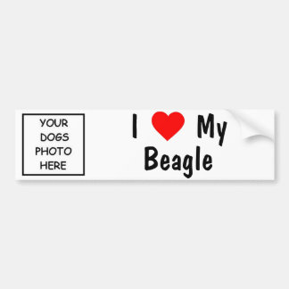Beagle Autoaufkleber